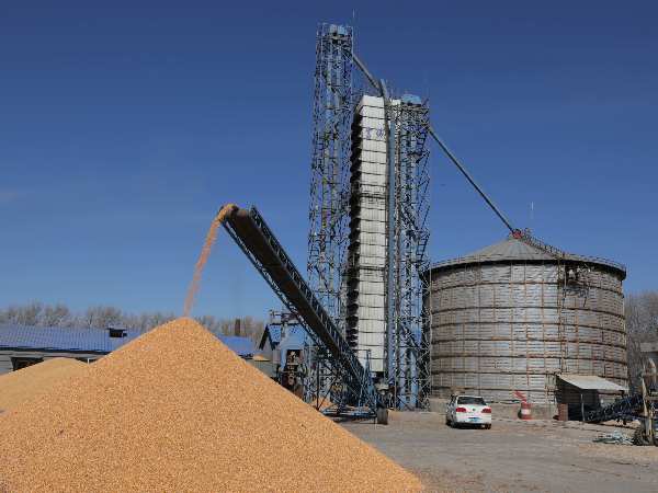 燒煤改燒秸稈大包直燃熱風爐，烘干成本省一半